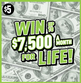winner image